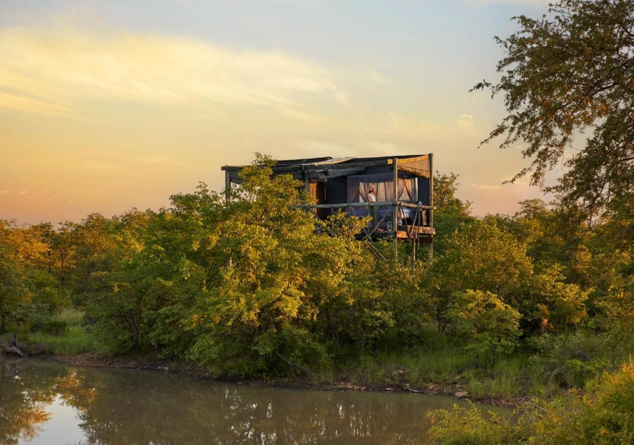 Geiger'S Camp In Timbavati Game Reserve By Newmark ภายนอก รูปภาพ